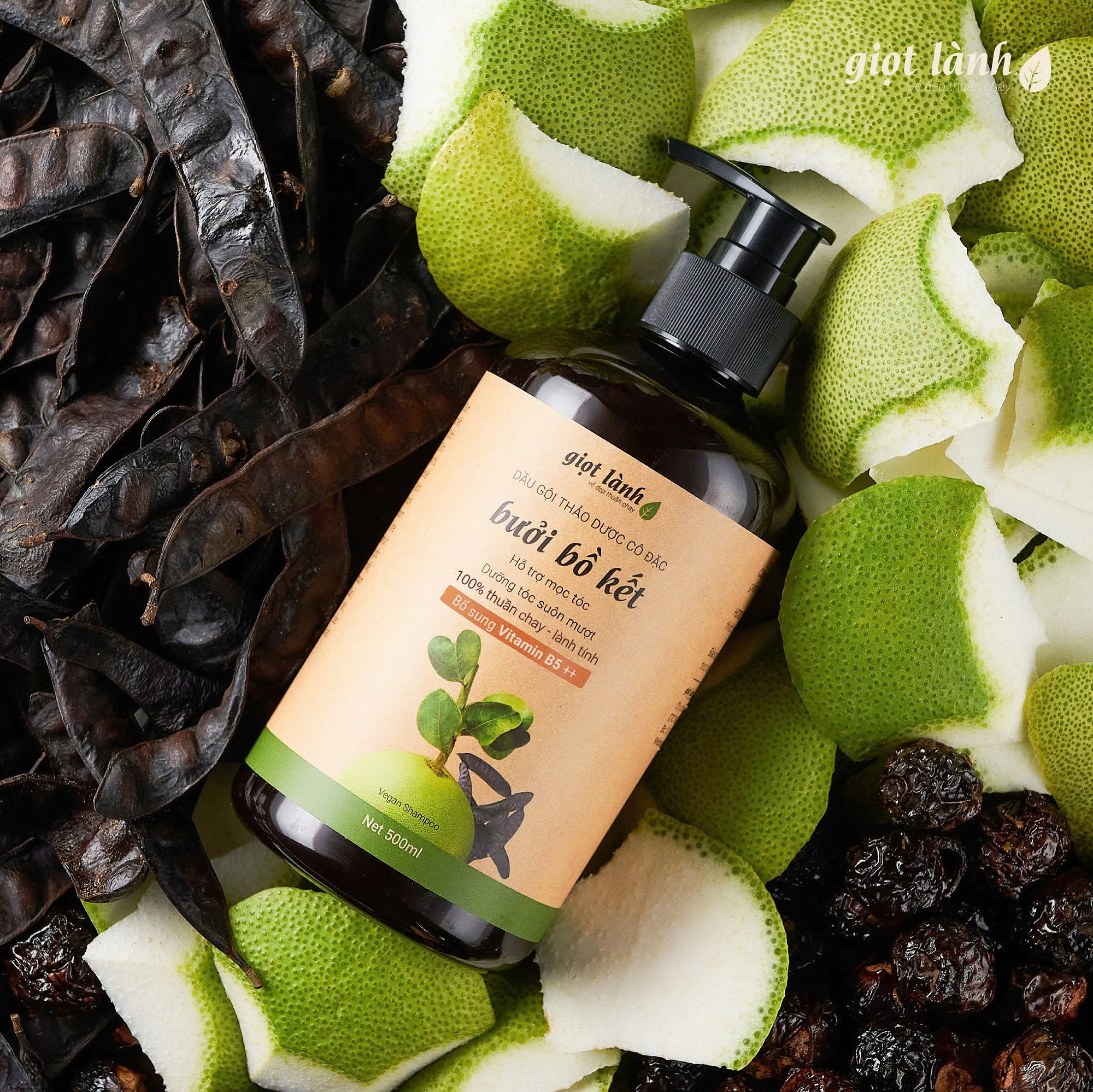 Dầu gội thảo dược