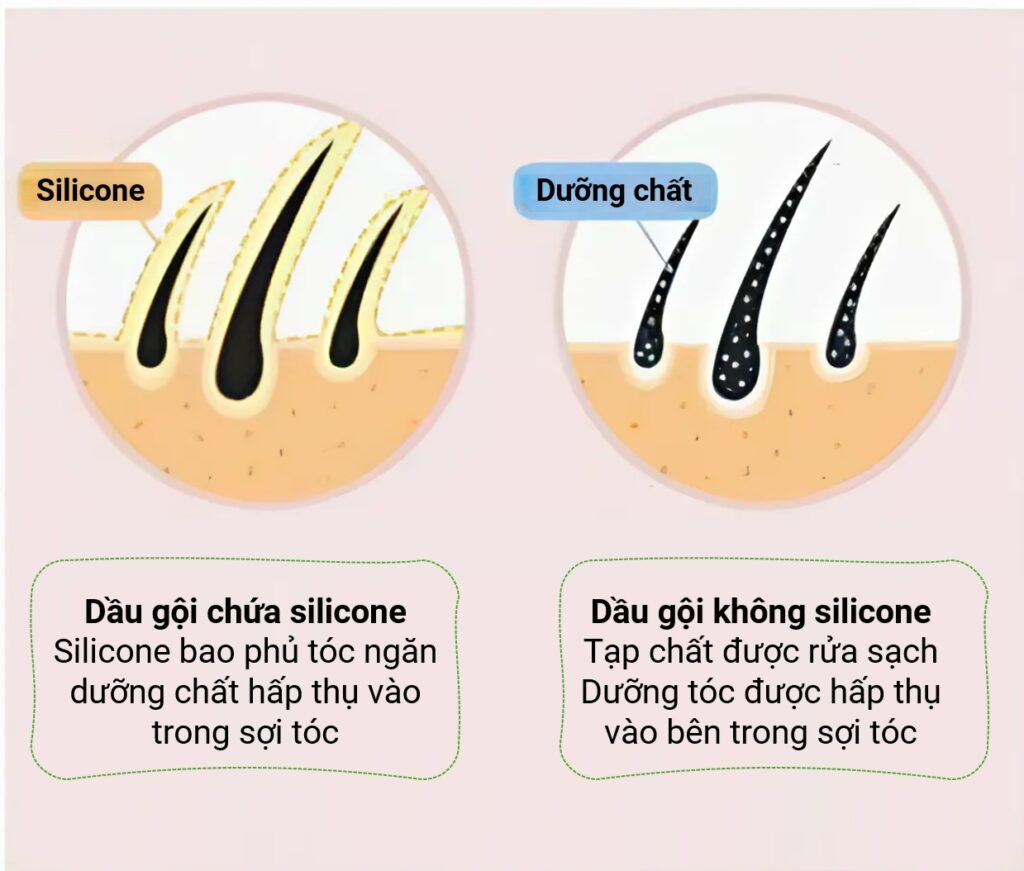 Chuyển sang dầu gội thảo dược:  Giải đoạn làm quen & giải pháp dành cho bạn