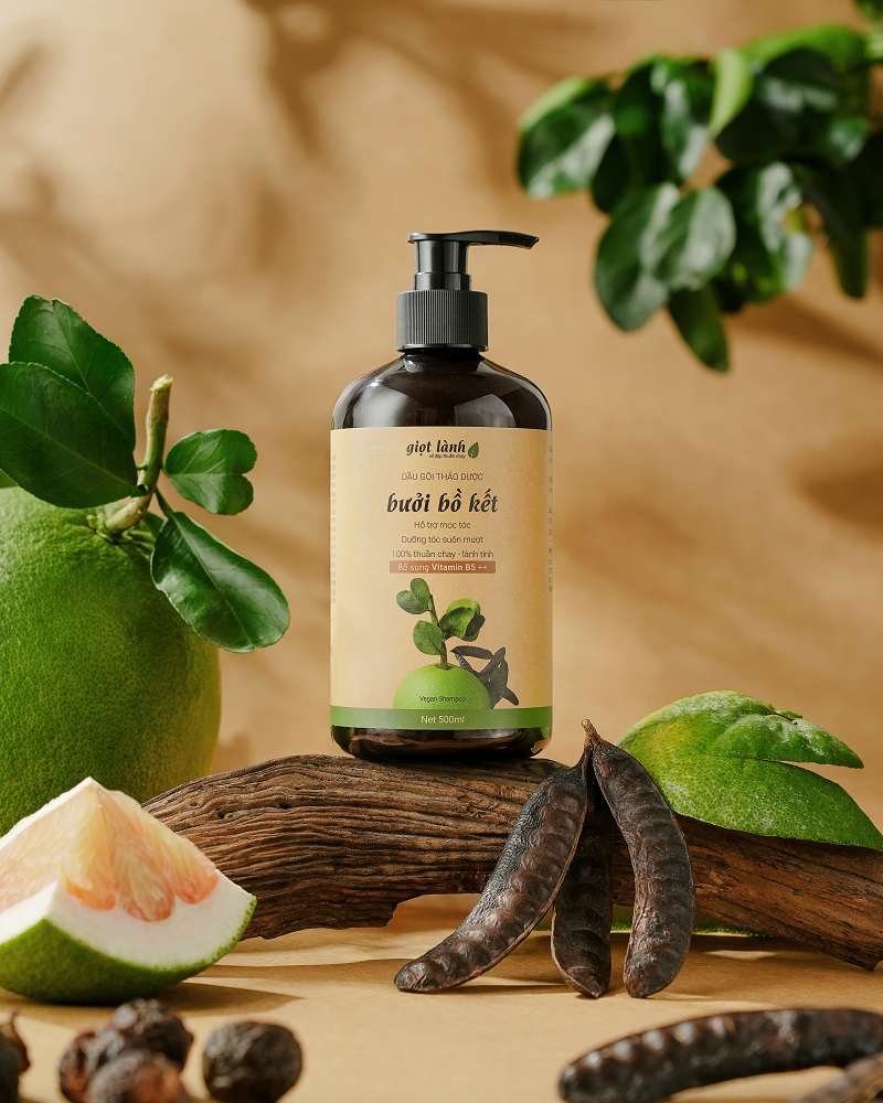Dầu gội thảo dược cô đặc Bưởi Bồ kết – Giọt Lành Dầu gội thảo dược cô đặc Bưởi Bồ kết – Giọt Lành
