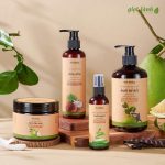 Combo 4 món chăm sóc tóc chuyên sâu, hỗ trợ mọc tóc Giọt Lành