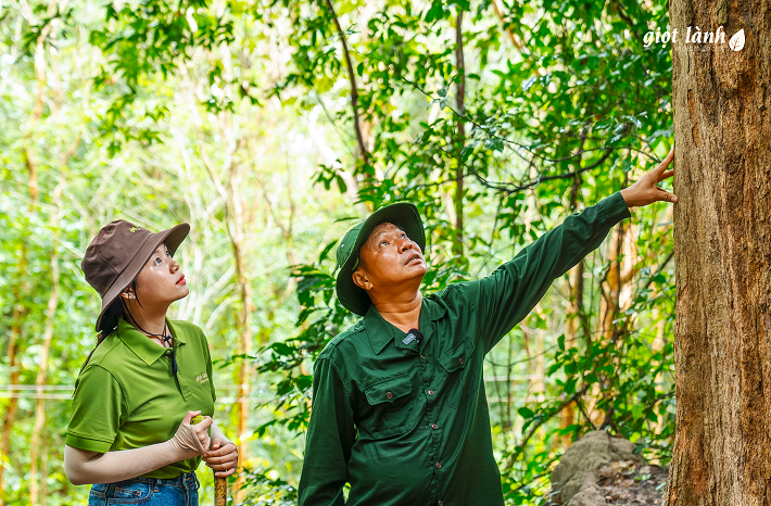 CÂU CHUYỆN RỪNG THIÊNG