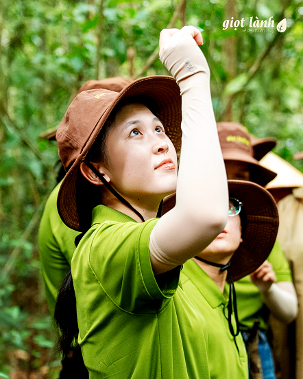 Ánh mắt thành viên Giọt Lành ngước lên tán lá, lắng nghe câu chuyện Rừng thiêng
