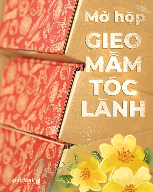 Mở hộp Gieo Mầm Tóc Lành