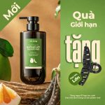 Dầu gội thảo dược bưởi bồ kết không Sulfate 500ml