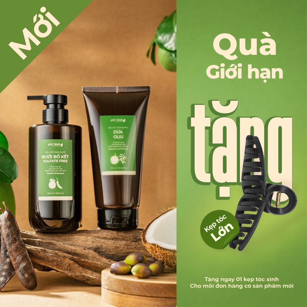 Combo dầu gội bồ kết không sulfate - Dầu xả dừa oliu 310ml