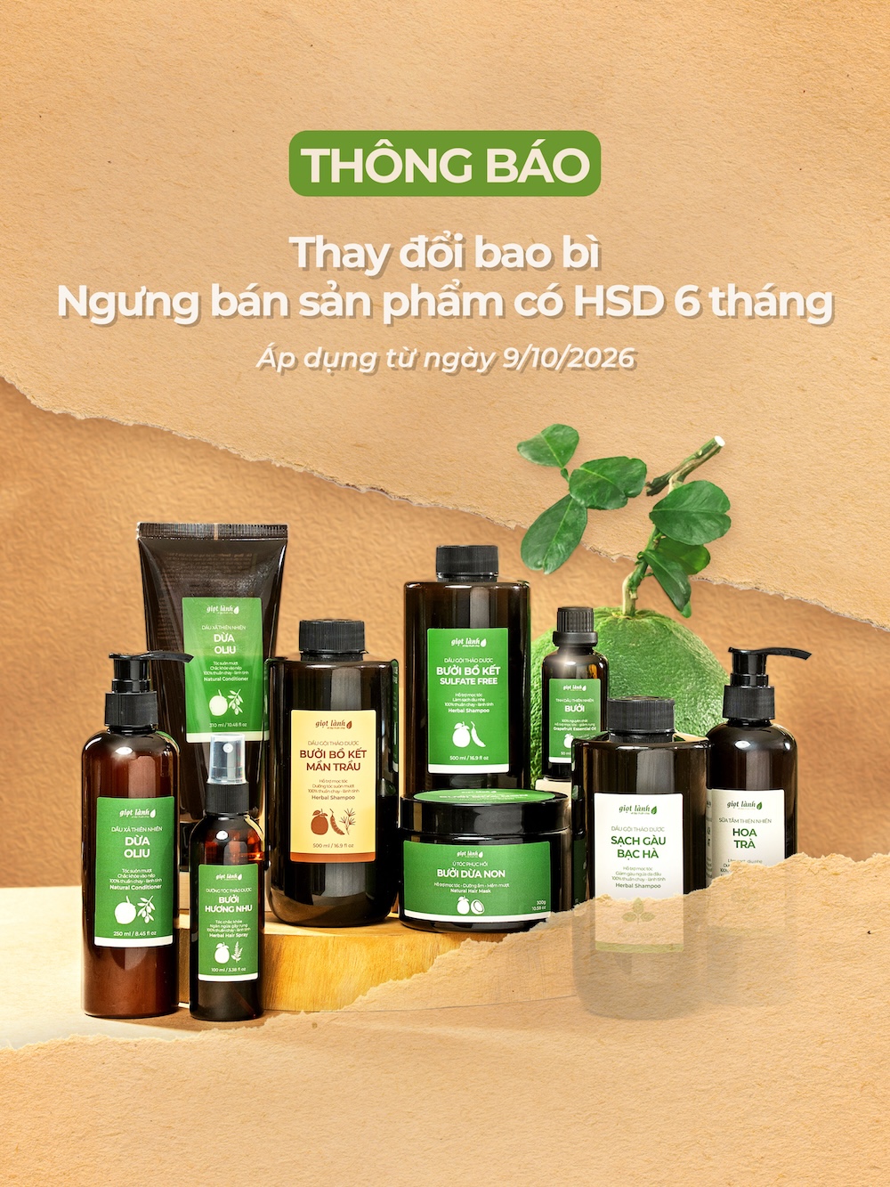 Banner Giọt Lành